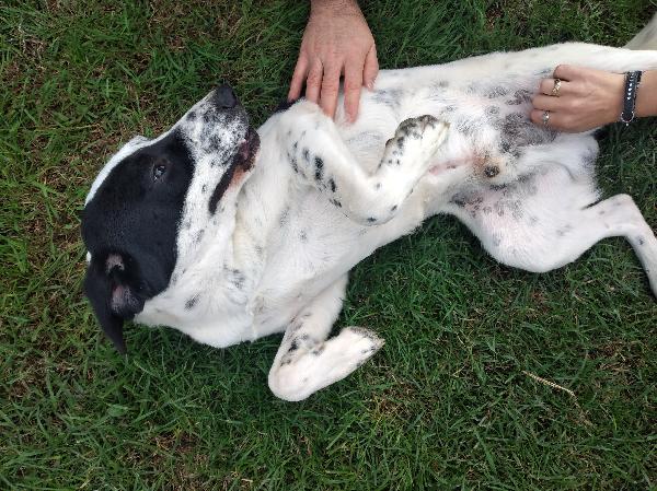 FOSTER, IL PIU' BEL TARTUFONE Foto 5